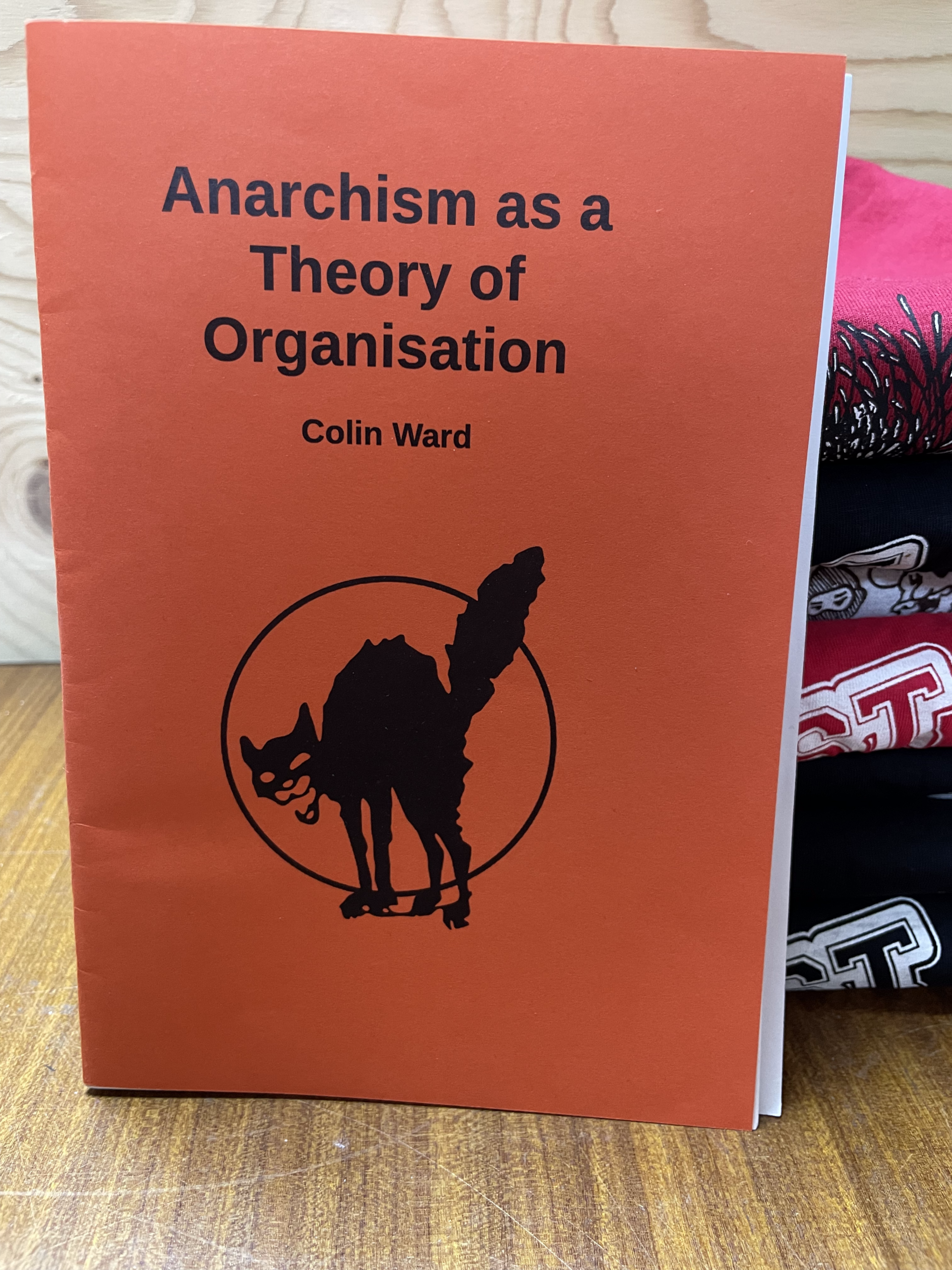 zine: anarchism as a theory of organisation